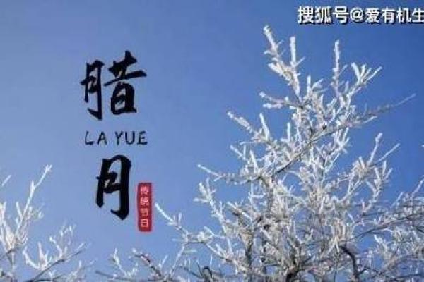 腊月初六结婚日子好不好，2024年农历腊月初六宜结婚吗