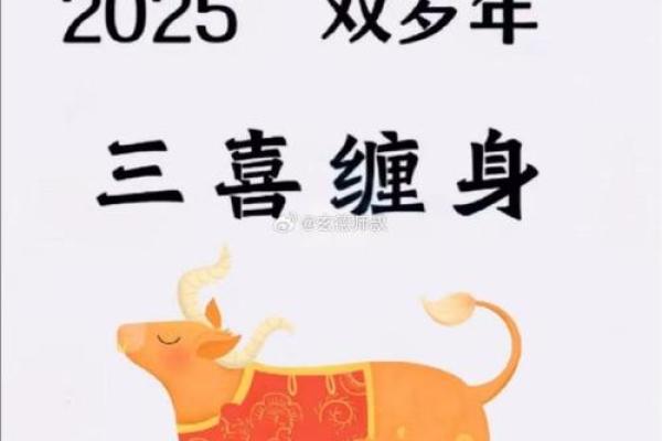 2025年属牛人运势详解事业财运健康全解析