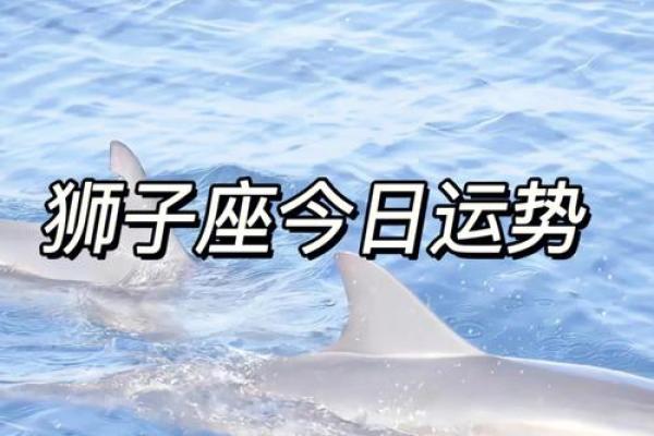 狮子座运势3月运势_狮子座三月运势2021