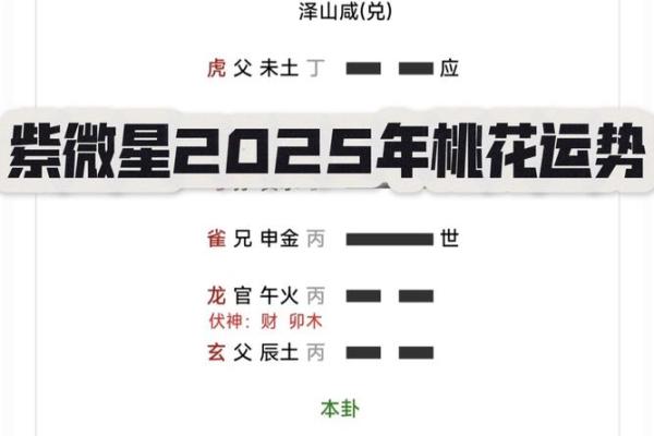 科技紫微星座网星座运势_紫薇科技网星座