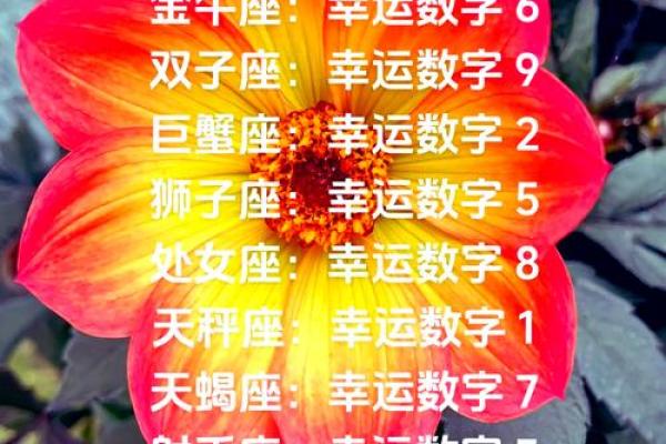 属羊金牛座女一生运势 属羊金牛座女一生运势解析财运爱情与事业全揭秘