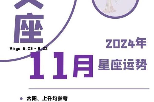 2024年处女座星座运势查询精准预测与运势解析