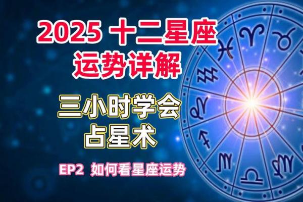 12星座运势2025运势 2025年12星座运势全解析未来一年运势大揭秘