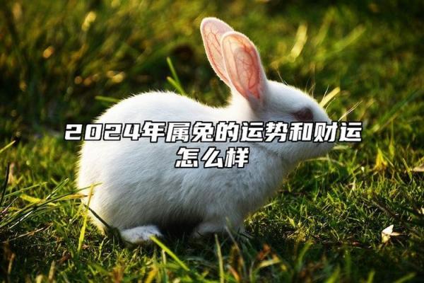 1963年属兔男在2024年的运势如何 2024年1963年属兔男运势解析财运健康感情全揭秘