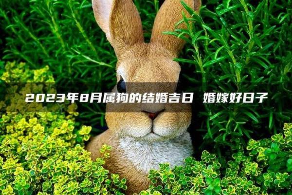 1994年2025年结婚吉日(94年狗2020年结婚吉日)