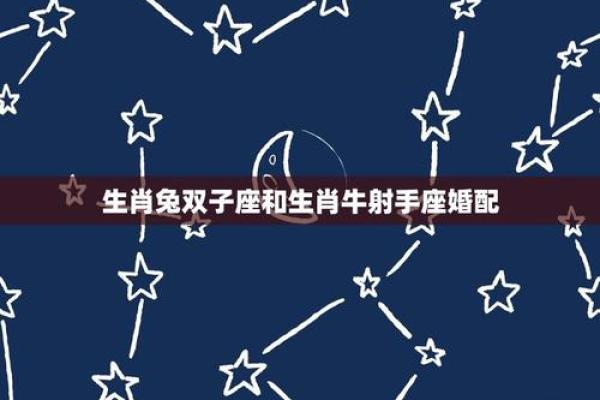 双子座属牛男运势(属牛双子座男生性格)