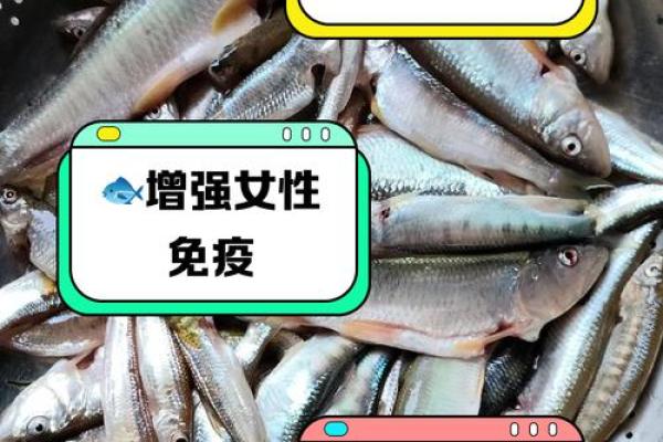梦见吃鱼是什么预兆 女性(梦见吃鱼是什么预兆 女性已婚)