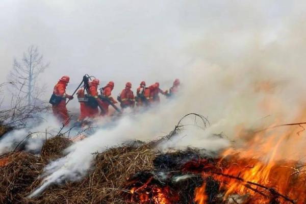 梦见火烧山是什么预兆(梦见火烧山是什么预兆 女性)