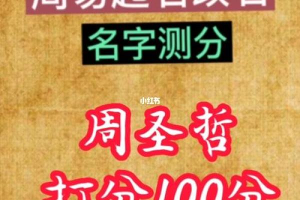 姓名免费打分测试(测姓名打分免费测试)