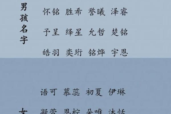 姓名测试打分起名网免费取名(姓名打分测试免费取名)
