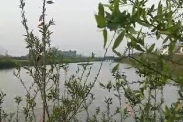 梦到下大雨是什么征兆 女性(梦到下大雨是什么征兆 女性梦到抱着小孩去殡仪馆)