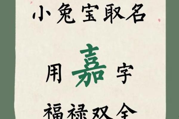 嘉的名字女孩名字好听(嘉字取名女孩名字大全)