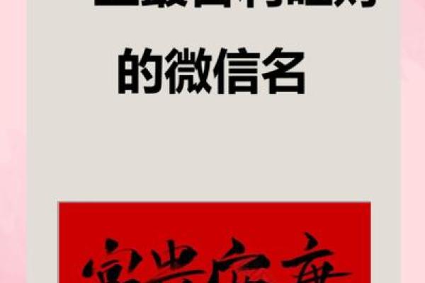 三个字的旺财公司名(三个字旺财公司名字大全)