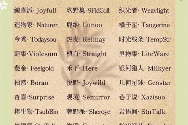 个人注册公司名称大全(个人注册公司名称大全最新)