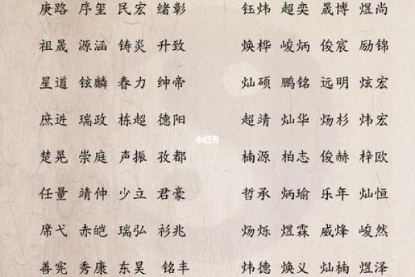 含土和火的公司名字大全集(含火和土的男孩名字)