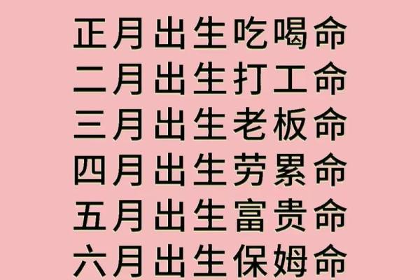 姓名测试命运(姓名测试命运免费测试)