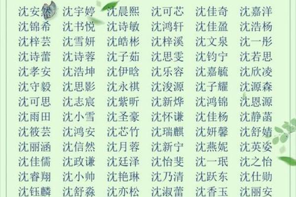 宝宝取名字大全免费2022年男孩(宝宝取名字男孩好听的名字)