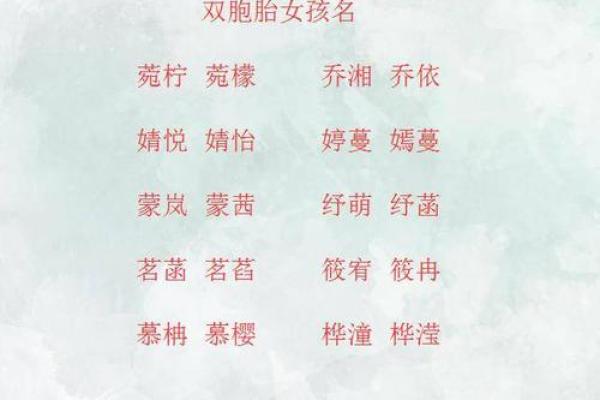 双胞胎女孩取名大全免费(双胞胎女孩取名字叫什么名字好听)