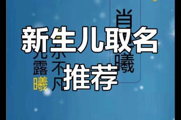 肖姓取名字大全男孩(肖姓取名字大全男孩一个字)