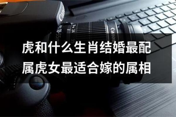 2025年属虎结婚黄道吉日 属虎2023年结婚吉日(2025年适合结婚的属相)