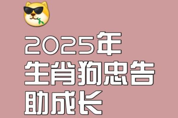 2025领证吉日属狗(2021属狗领证日期)