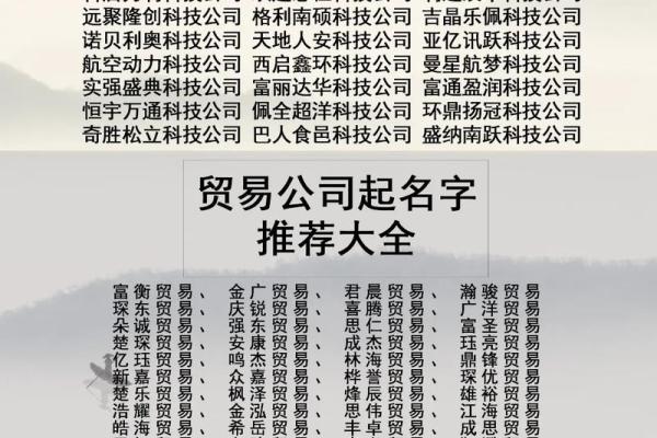 国际物流公司起名字大全免费(国际物流公司名称起名大全)