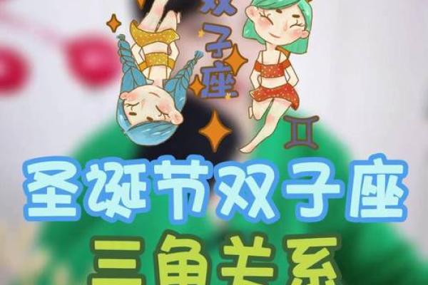 双子座三角恋(双子女三角恋)
