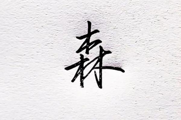 公司起名森配什么字好(公司起名带森字的名字)