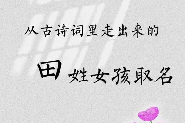 田姓名字大全女孩名字(田姓女孩取名简单顺口)
