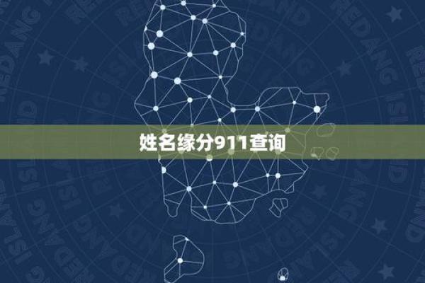 911姓名免费测试(911姓名打分查询)
