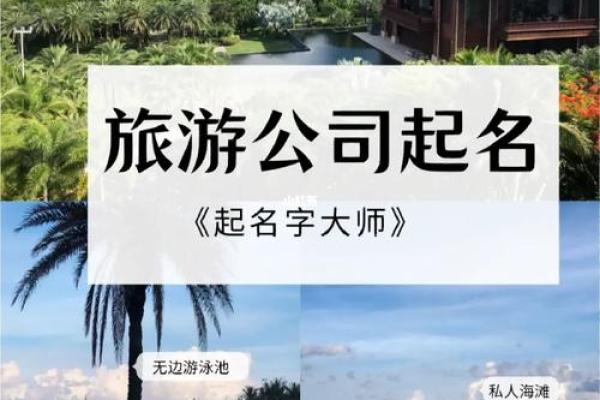 好听的旅游公司名称(好听的旅游公司名称大全简单大气)