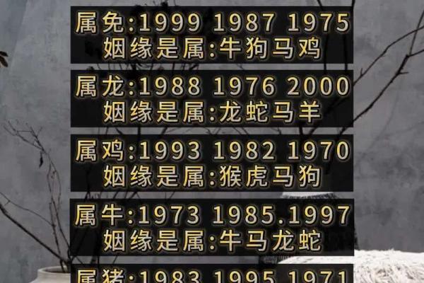 姓名看两人缘分(从姓名看两人姻缘)