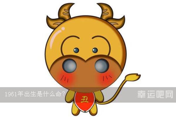 幸运吧姓名测试免费(幸运吧起名网查字)