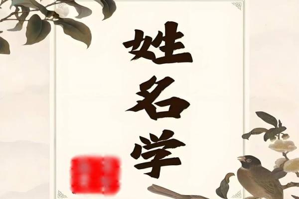 姓名测凶吉(姓名测凶吉查询免费)