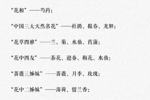 带花的公司名字(公司名以花取名)