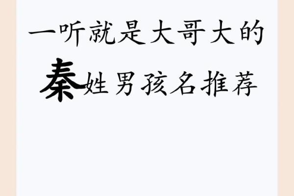 秦姓名字大全女孩名字(秦姓女孩取名内涵诗意名字)