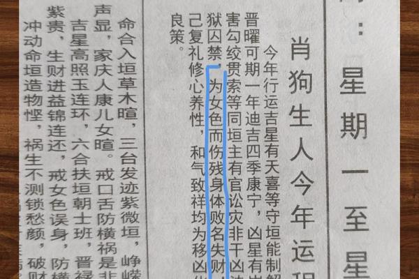 94年属狗女孩最吉利的名字(94年属狗女孩最吉利的名字是什么)