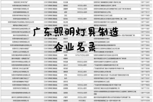 取照明公司名字大全(照明公司名字大全好听大气)
