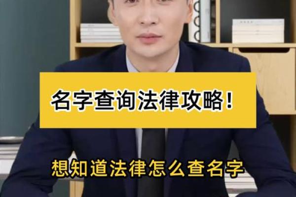 法人姓名查询公司(公司法人名字查询)