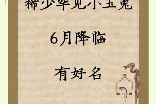 女孩名字大全 取名属兔(女孩名字大全 取名免费)
