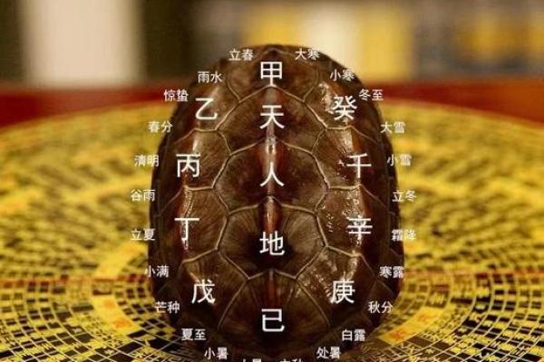 梦见乌龟是什么预兆 男性(梦见乌龟是什么预兆 男性属龙的)