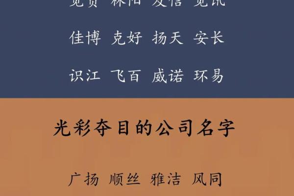 保险公司名字大全好听大气(保险公司起名有寓意)