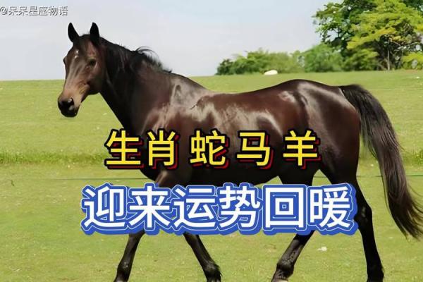 1990年属马的双子座女生运势(90年的双子女马的爱情与运势)
