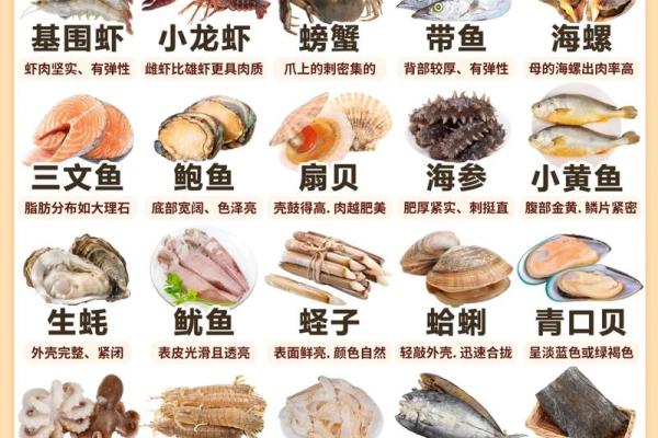 海鲜食品公司取名字大全(海鲜有限公司如何取名)