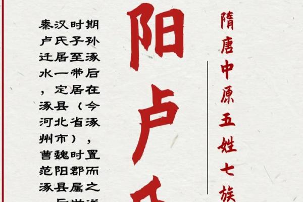 卢姓取名字大全男孩(卢姓取名字大全男孩属虎)