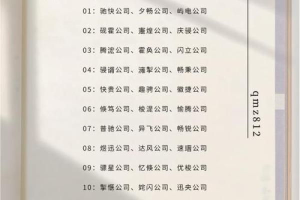 好听的监控公司名字(监控公司名字大全)