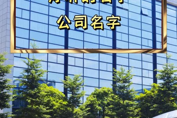 好听的监控公司名字(监控公司名字大全)