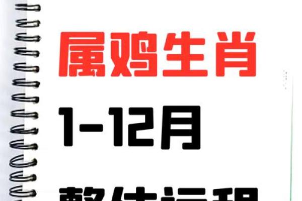 1981年属鸡公司起名(1981年属鸡43岁大劫年)
