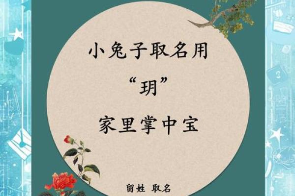 带兔的公司名称简单大气(与兔有关的公司名字)