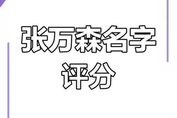 123cha姓名测试打分(姓名测试打分数)